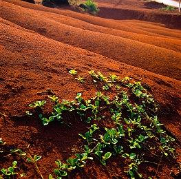 育碧发言人确认今年六月没有新游戏发布会