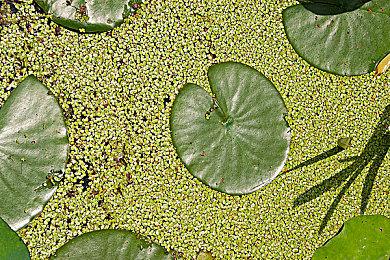 视觉小说剧情游戏《BURN》现已在Steam平台推出试玩Demo 计划于8月9日发行