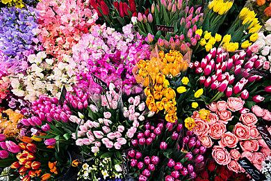 《塞尔达传说：王国之泪》被玩家仅用94分钟通关